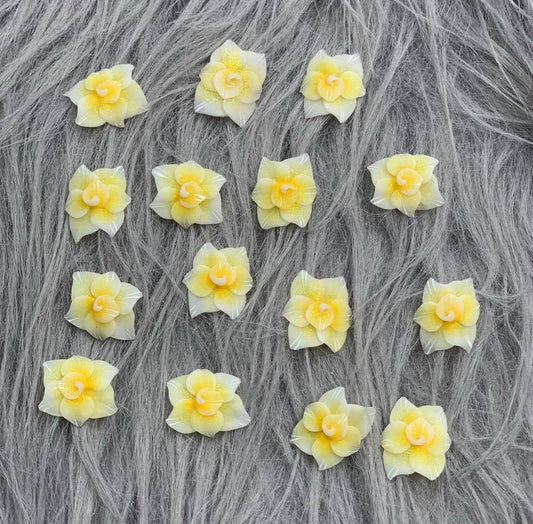 3D Acrylic Flowers /PF6