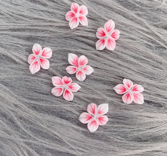 3D Acrylic Flowers /PF54